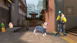 Non-Destructive Editing Techniques