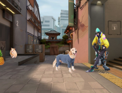 Non-Destructive Editing Techniques for Creative Mastery