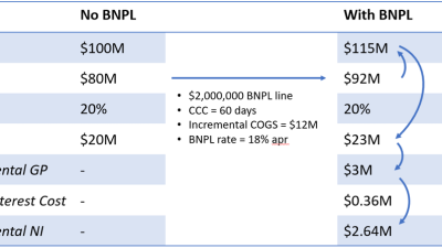 Understanding the Risks and Benefits of BNPL Explained