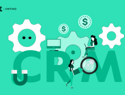 marketing automation & crm Unlocking Business Potential