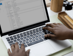 Automated Email Marketing Platforms Unleash Your Potential