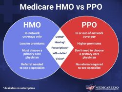 Understanding Health Insurance Plans HMO PPO EPO Explained
