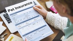 What Does Pet Insurance Cover?