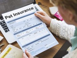 What Does Pet Insurance Cover? A Comprehensive Guide