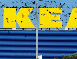 Ikea Click And Collect Faq Your Ultimate Guide