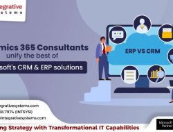 microsoft dynamics 365 consulting vietnam for Growth