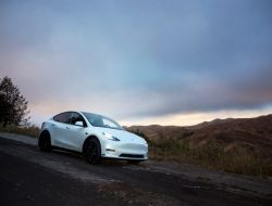 Tesla Full Self-driving Subscription Vs Purchase Revealed