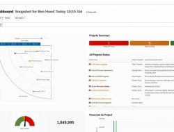 Project portfolio management tool for effective oversight