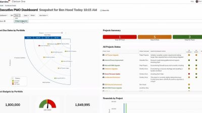 Project portfolio management tool for effective oversight