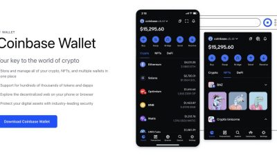 Best Crypto Hardware Wallets in 2025