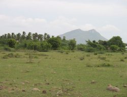 Land Rover Sport A Blend of Luxury and Performance