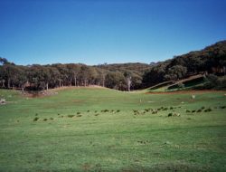 Land Rover Discovery Sport Experience and Features