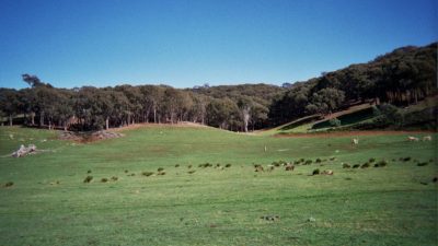 Chapter out on resilience and HM – Kate Sherren