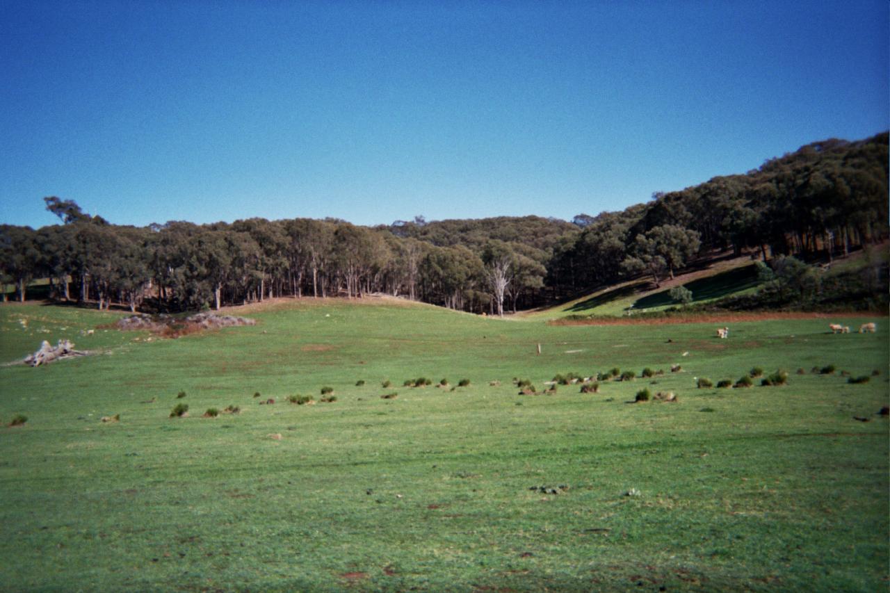 Chapter out on resilience and HM – Kate Sherren Chapter out on resilience and HM – Kate Sherren