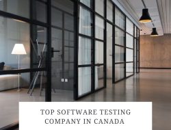 Leading software application testing company insights