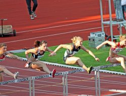 Sport Management Jobs An Overview Of Opportunities