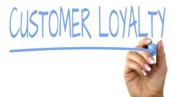 Loyalty 3 Vs Loyalty 1 A Comparative Exploration