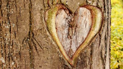 Here's Where Employee Engagement Went - Part 3 - Zane Safrit