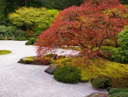 Zen Leaf Loyalty Points Explore The Benefits Of Rewards