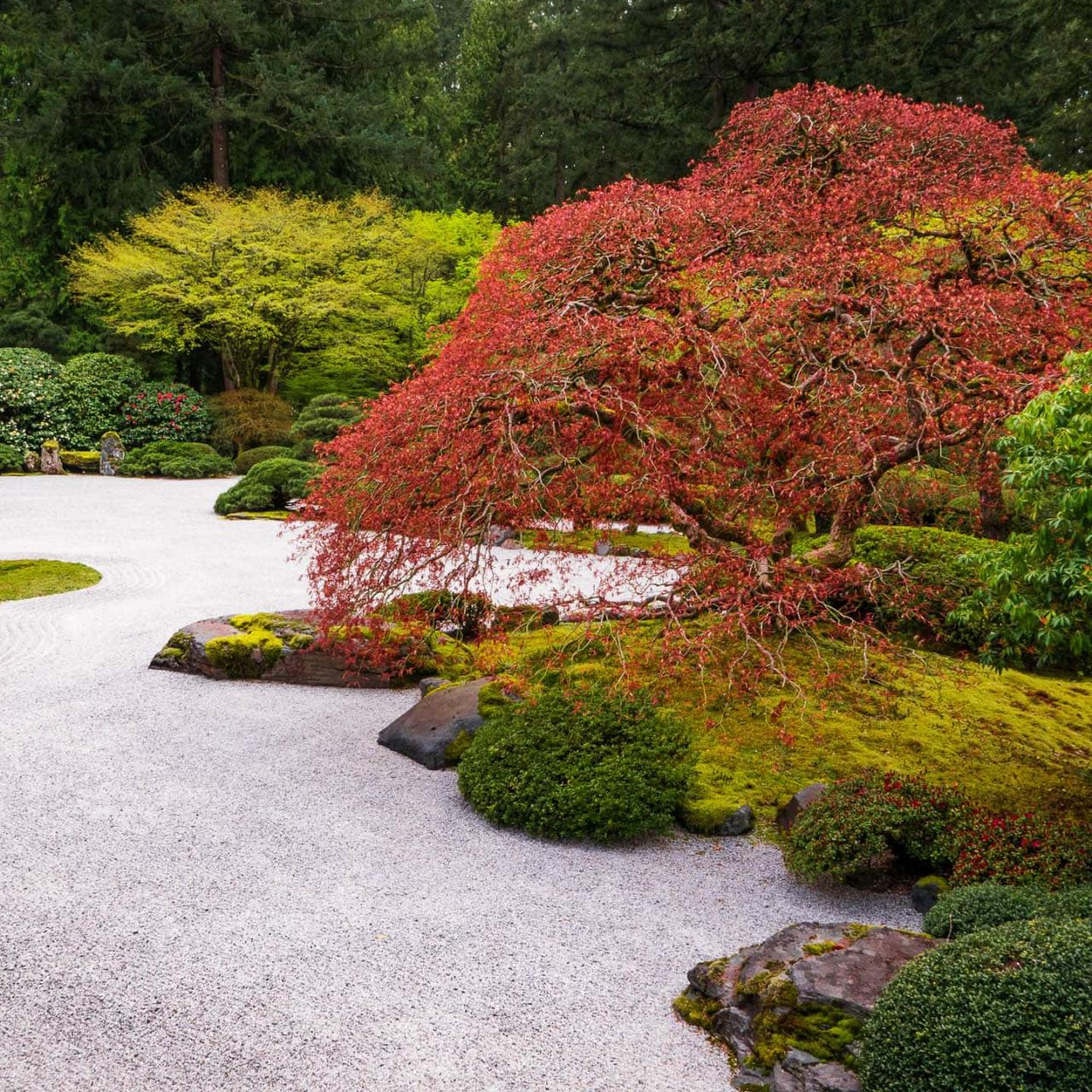 How To Make A Japanese Zen Garden In Your Backyard How To Make A Japanese Zen Garden In Your Backyard