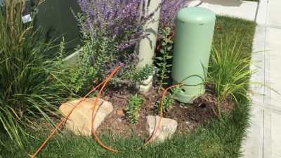 Backyard Neophyte Landscaping Blog: August 2015