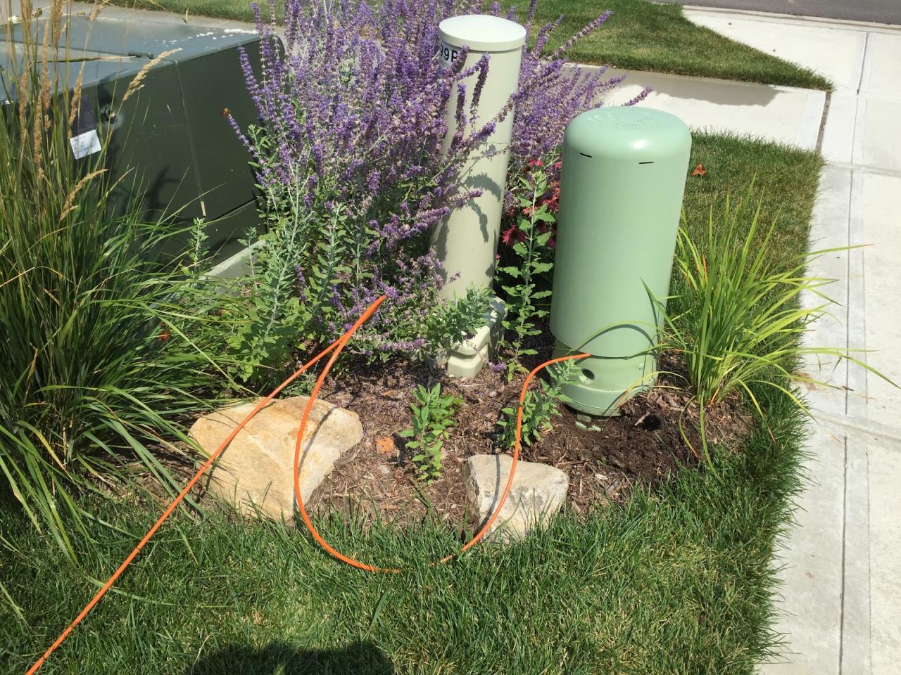 Backyard Neophyte Landscaping Blog: August 2015