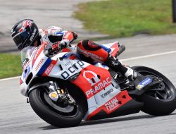 Sport Legs A Gateway To Athletic Performance