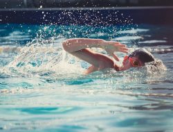 Sport live experience captivating sports moments