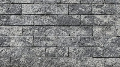 Tree And Stone Wall Free Stock Photo - Public Domain Pictures