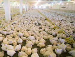 Factory Direct Hardware Your Source For Unbeatable Value