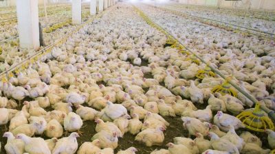 Factory Direct Hardware Your Source For Unbeatable Value